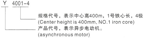 西安泰富西玛Y系列(H355-1000)高压YKK450-4C三相异步电机型号说明